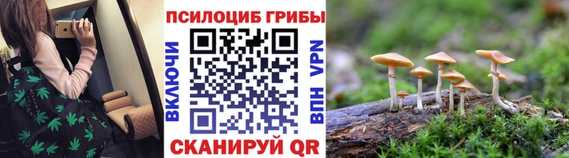 Галлюциногенные грибы Psilocybe  shop формула  Ардон 